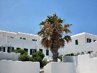 Fil Franck Tours - Hotels in Mykonos - PELICAN HOTEL